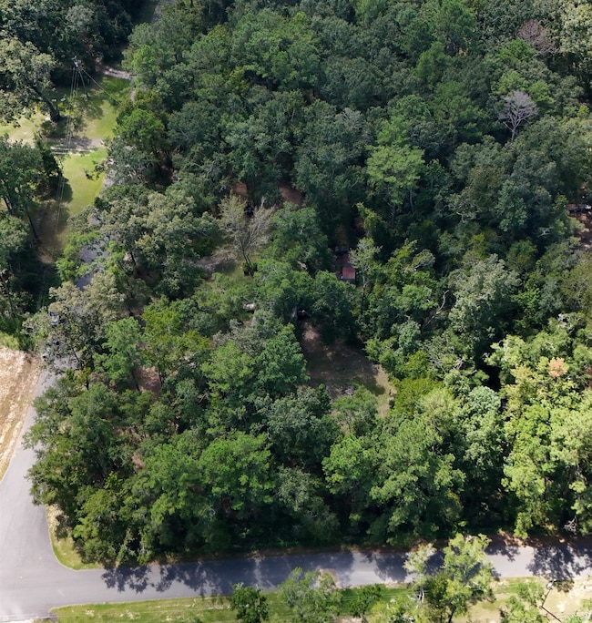 40 Westview Ln, Monticello, FL 32344 - photo 4