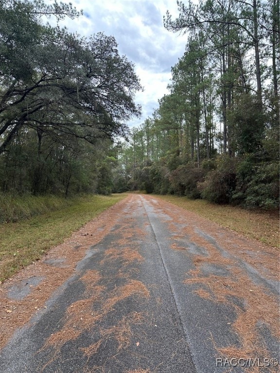 8107 N Floyd Point, Dunnellon, FL 34434 - photo 2
