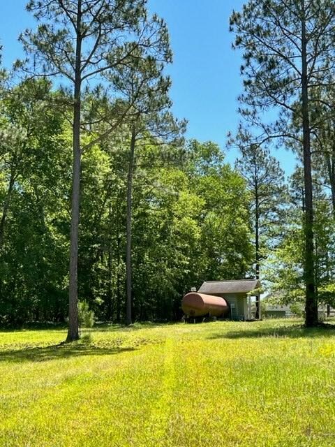 00 Hidden Hills Dr, Vidalia, GA 30474 - photo 5