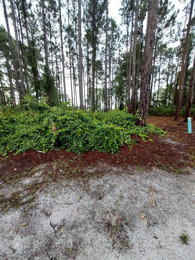 164 Royal Tern Way, Carrabelle, FL 32333 - photo 7