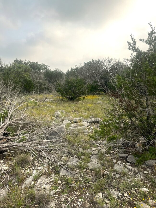 1485 Other unit 2, Rocksprings, TX 78880 - photo 7