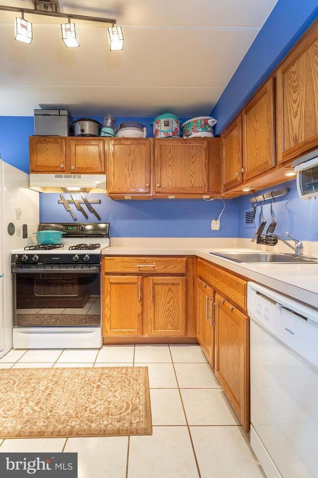 2636 Fort Farnsworth Rd unit 125, Alexandria, VA 22303 - photo 5