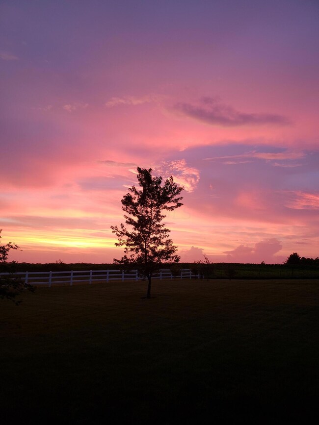 6726 Tarlton Rd, Circleville, OH 43113 - photo 2