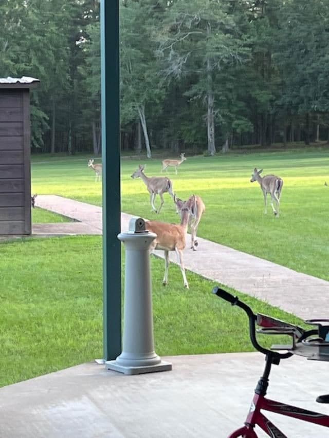 15250 County Road 3111, Gladewater, TX 75647 - photo 2