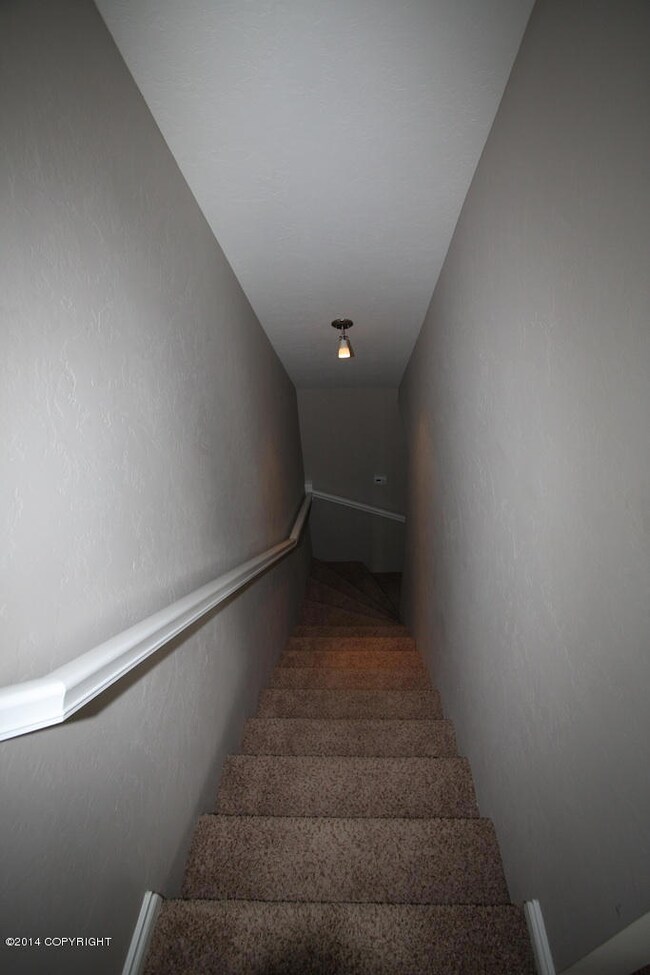 Downstairs Hallway