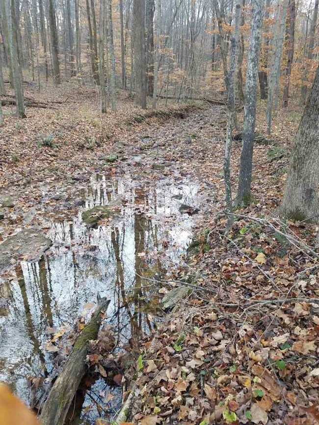 3553 E Coen Rd, Bloomfield, IN 47424 - photo 7