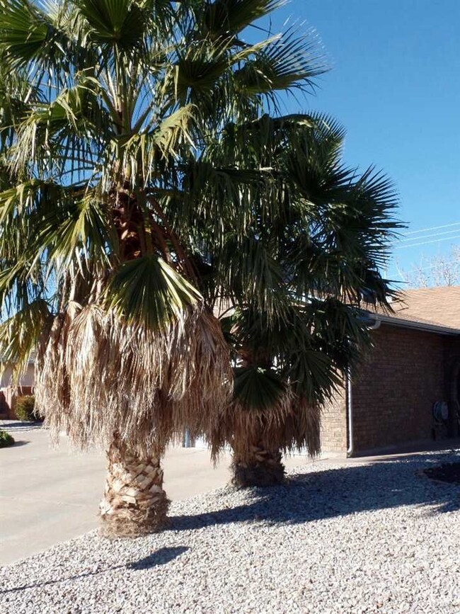 2237 Nevada Dr, Alamogordo, NM 88310 - photo 3