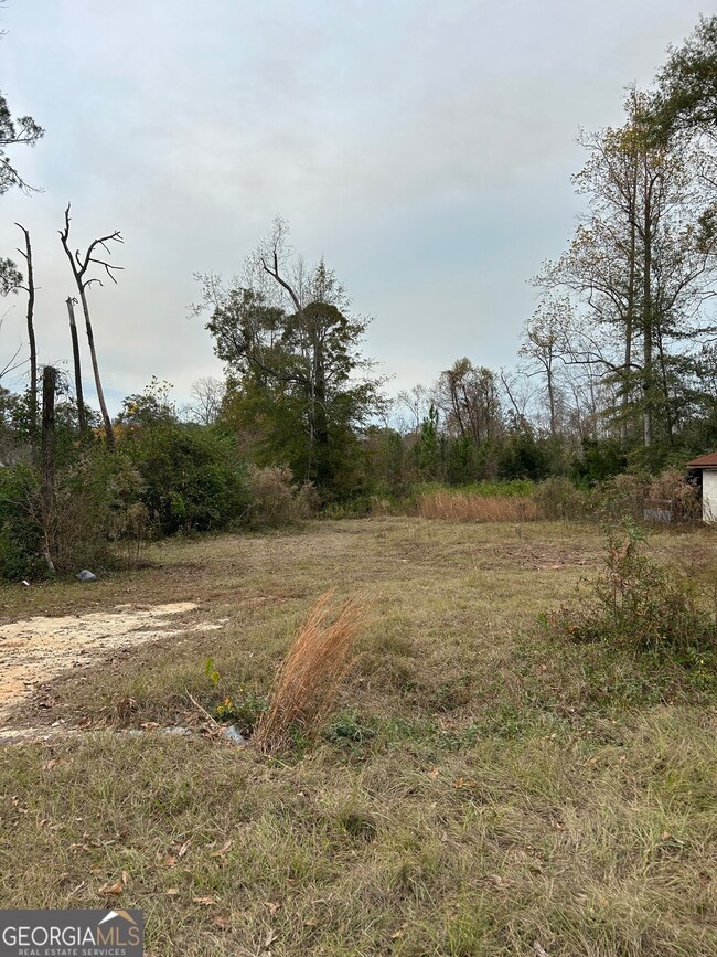 0 Center Ave unit 10648464, McRae, GA 31055 - photo 3