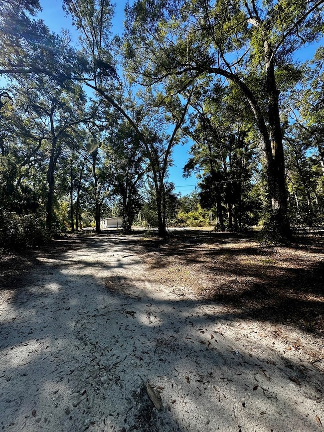 165 NE 368th Ave, Old Town, FL 32680 - photo 4