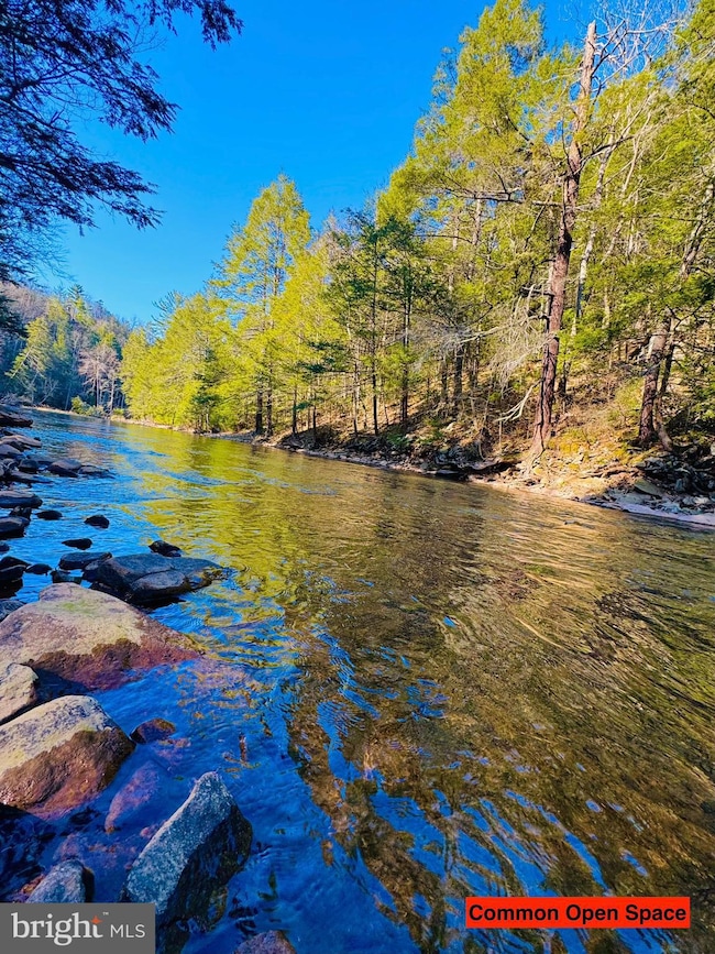 Lot: 43 Paradise Rd, Todd Township, PA 16657 - photo 7