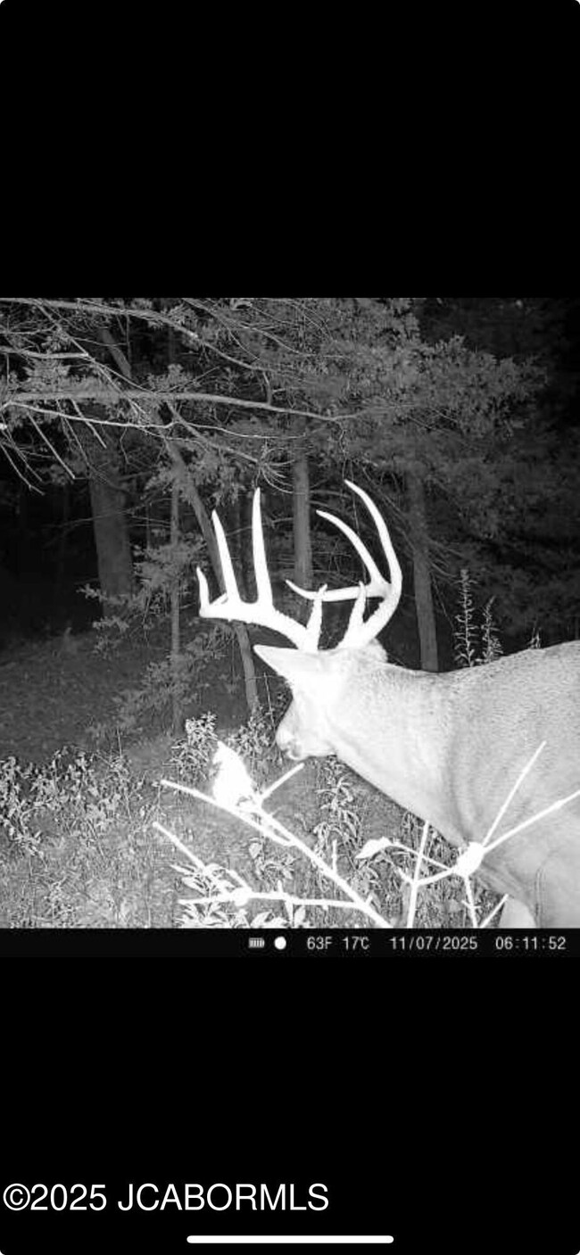 3312 Honey Creek Rd, Jefferson City, MO 65101 - photo 7