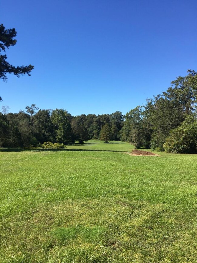 180 Elbert Mitchell Rd, Picayune, MS 39466 - photo 4