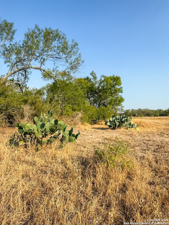 6870 County Road 329 (Tract 2-5), Jourdanton, TX 78026 - photo 4