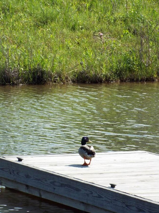 56 Churchill Place unit LOT 56, Madison, MS 39110 - photo 5