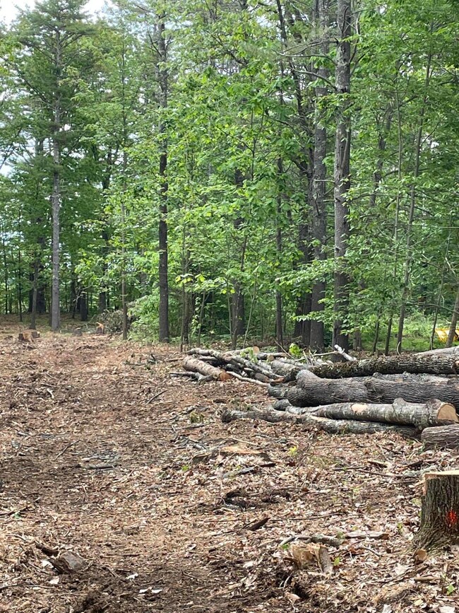 Lot view 2