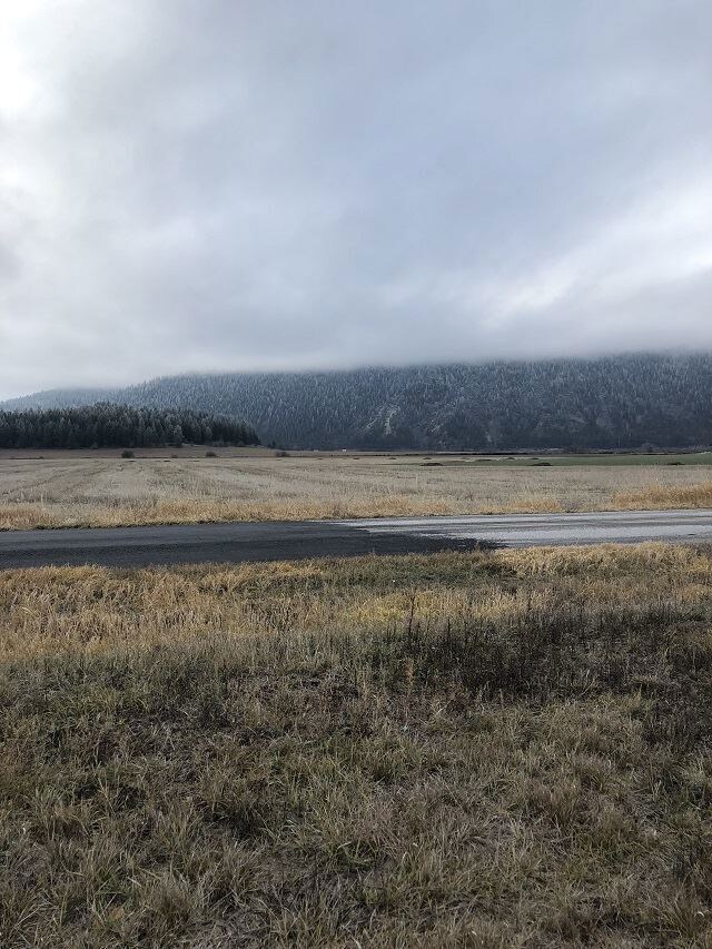 2040 Steinmetz Rd, Chewelah, WA 99109 - photo 4