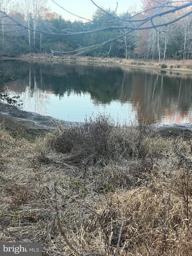 0 Mitchell Ford Rd, Lignum, VA 22726 - photo 3