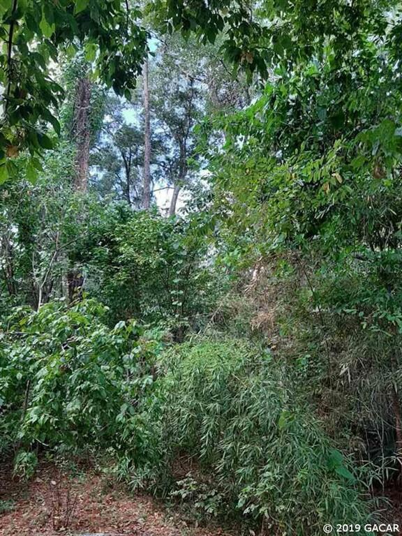 4840 SW 47th St, Gainesville, FL 32608 - photo 5