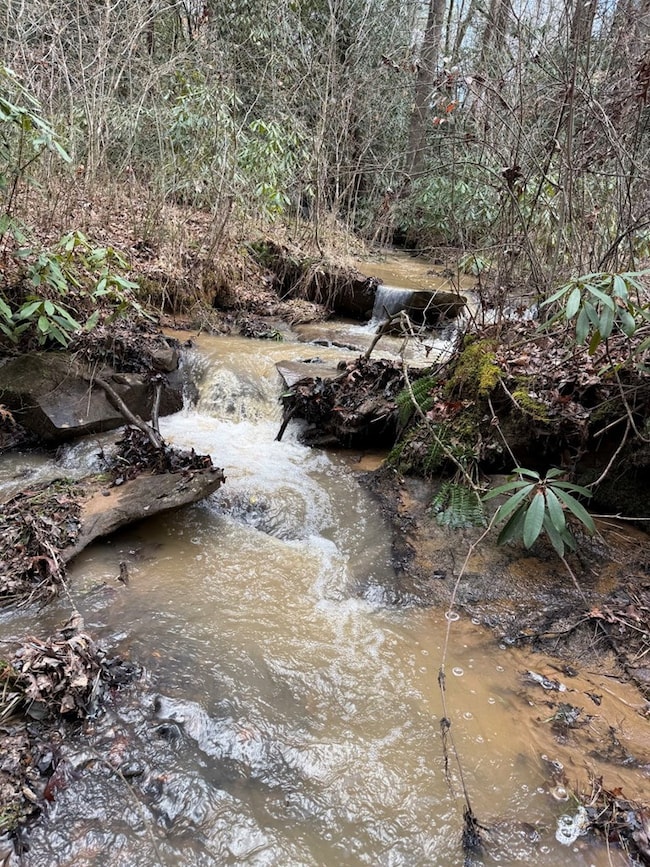 199 Piper Dr, Murphy, NC 28906 - photo 4