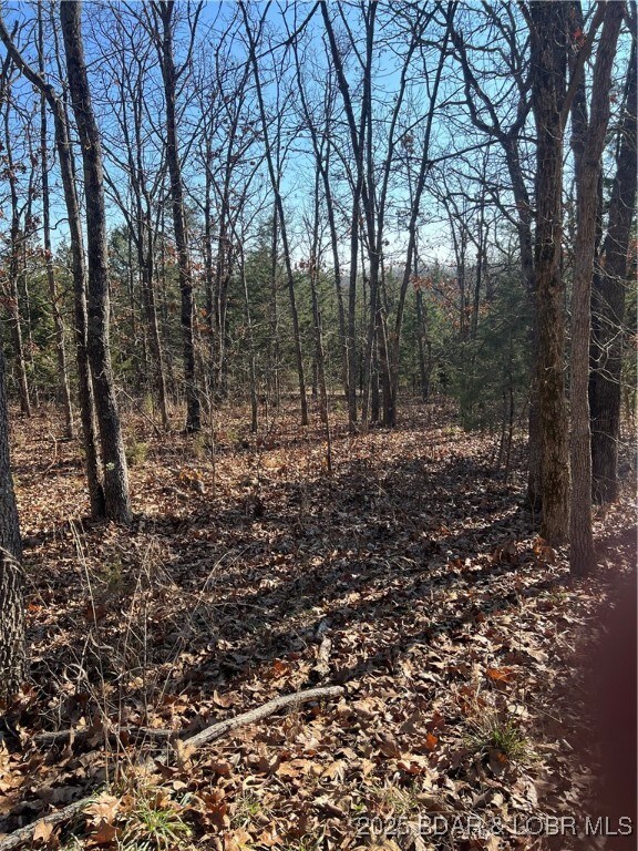 0 Lavender Rd unit 3582831, Moreau Township, MO 65011 - photo 6