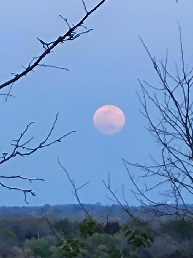 2640 Fords Mill Rd unit C, Versailles, KY 40383 - photo 7