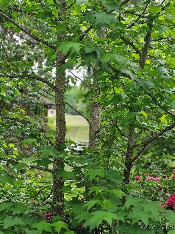 209 Remington Dr, Ruther Glen, VA 22546 - photo 7