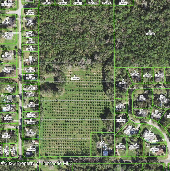 North Ave. Acreage PropLines_Aerial (2)
