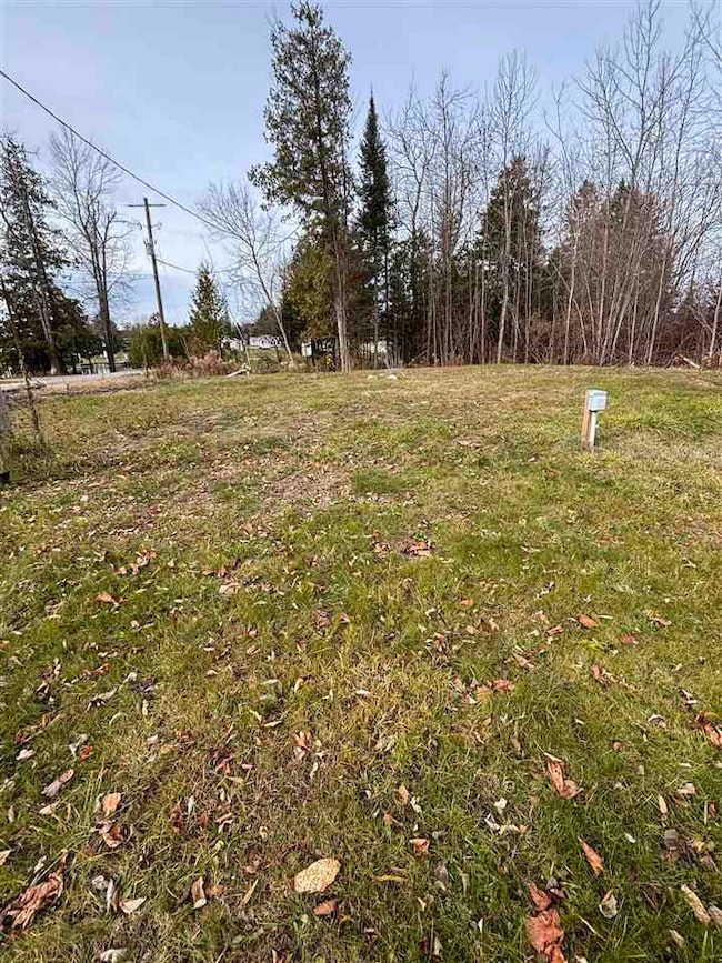 3141& 3145 Mingo Trail, Indian River, MI 49749 - photo 2