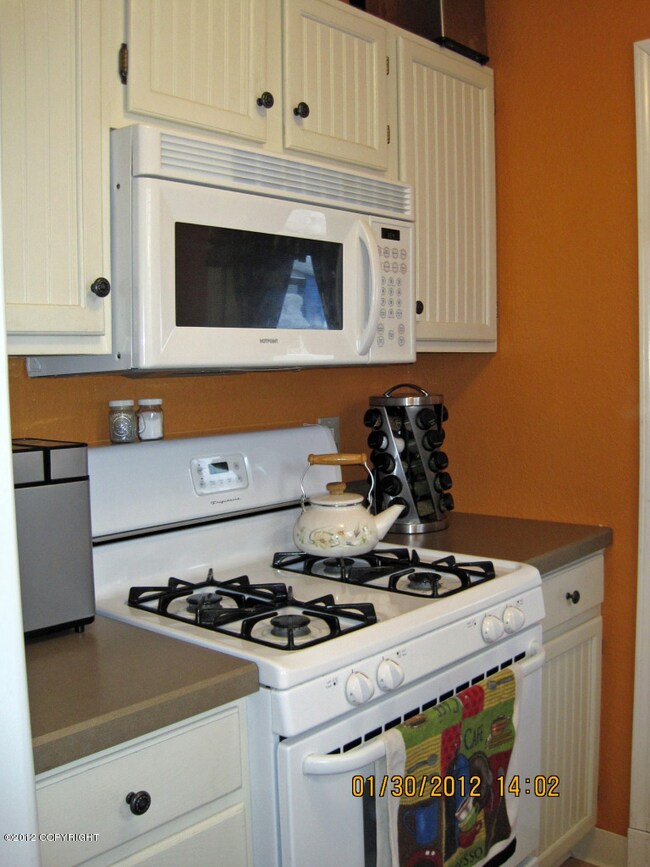 Gas Stove
