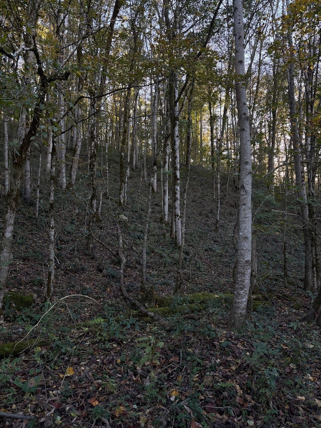 0 Calfkiller Hwy unit 25393188, Monterey, TN 38574 - photo 6