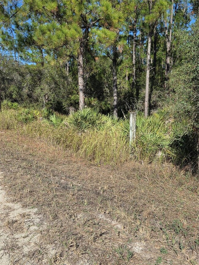 1351 R E Byrd Rd, Frostproof, FL 33843 - photo 3