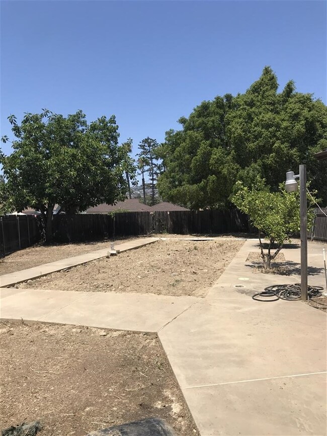 The pool and Jacuzzi are filled in.