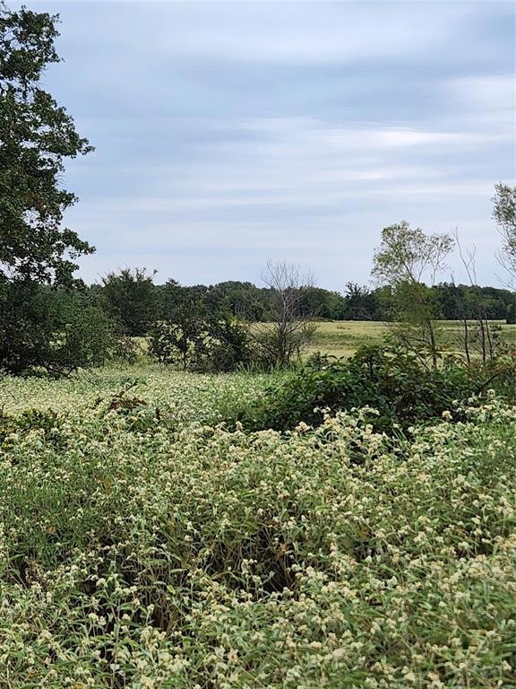 View of nature with a rural view