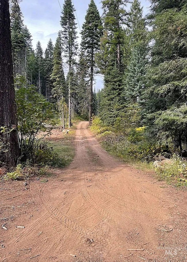 66 Hillside Trail, Donnelly, ID 83615 - photo 4