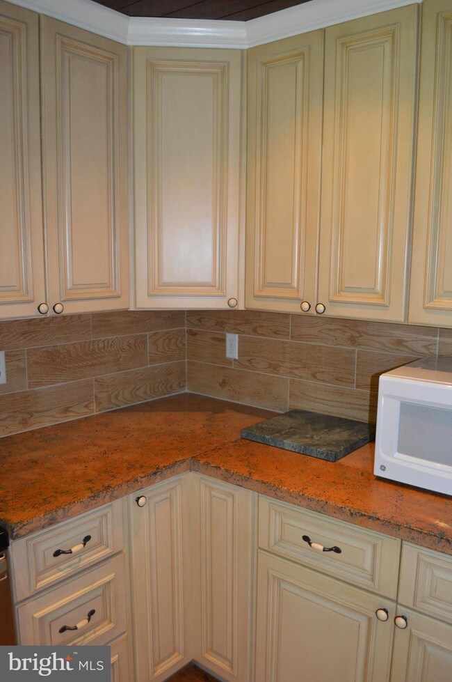 9919 Flatland Rd, Chestertown, MD 21620 - photo 6