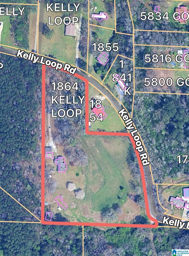 1864 Kelly Loop Rd, Mount Olive, AL 35117 - photo 3