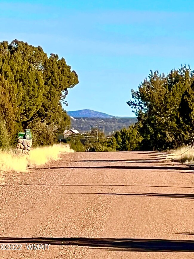 8789 Bruce Cir, Show Low, AZ 85901 - photo 7