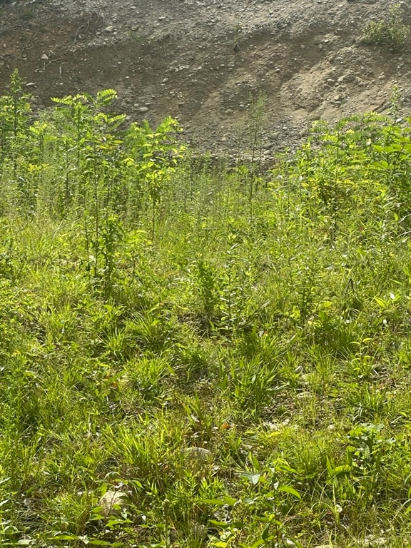 31-33 Walsh Ave, Auburn, MA 01501 - photo 4