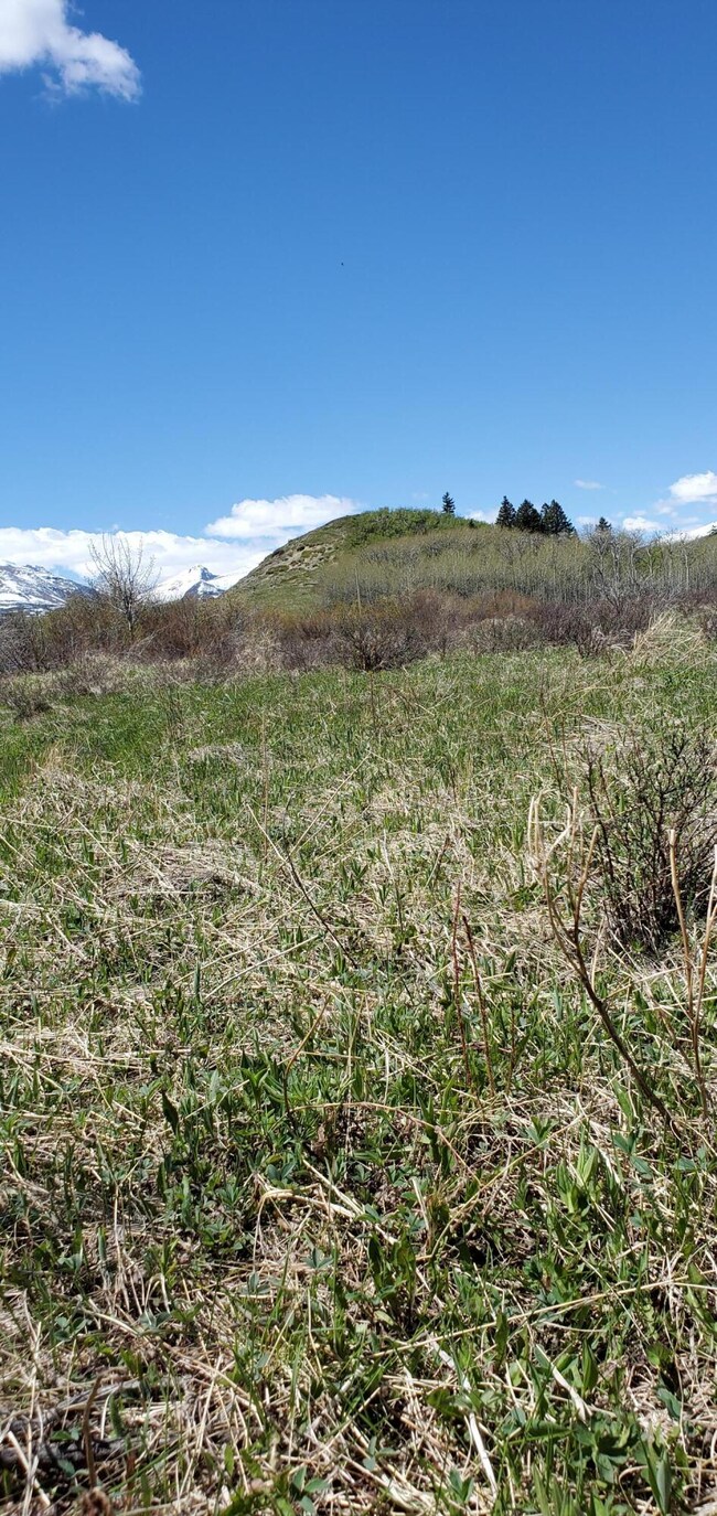 Nhn Anderson Rd, Browning, MT 59417 - photo 5