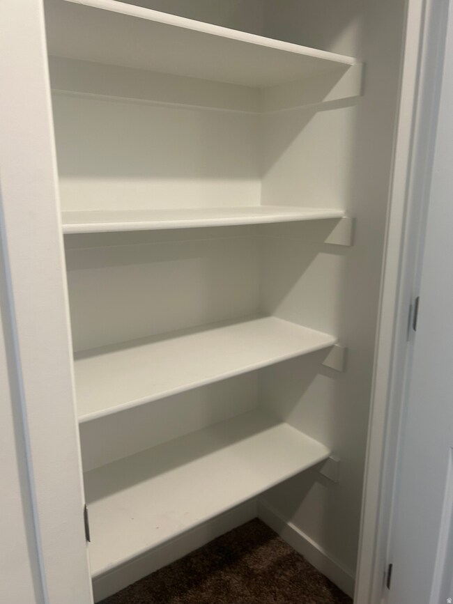 Kitchen storage pantry closet