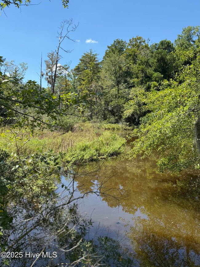 201 Kelly Ln, Blounts Creek, NC 27814 - photo 7