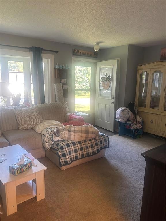 1111 N 10th Ave E, Newton, IA 50208 - photo 3