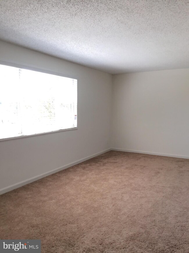 2910 Peyton Randolph Dr unit 170, Falls Church, VA 22044 - photo 5