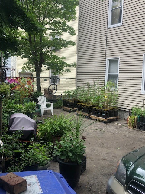 260 Douglas Ave unit 262, Providence, RI 02908 - photo 4