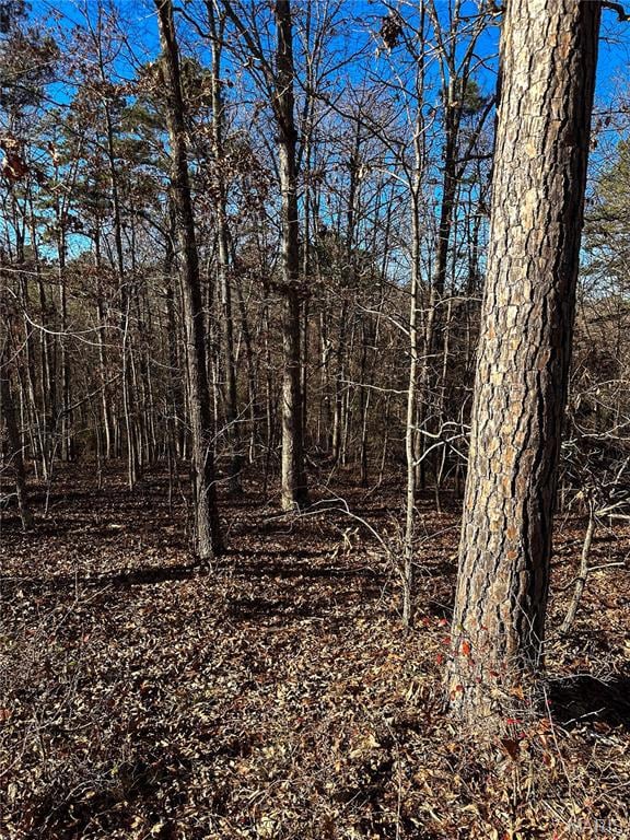 000 Ripley Route O, Grandin, MO 63943 - photo 5