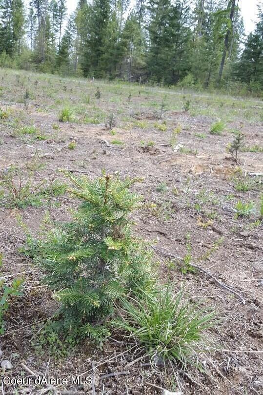 1131 Elmers Loop, Newport, WA 99156 - photo 7