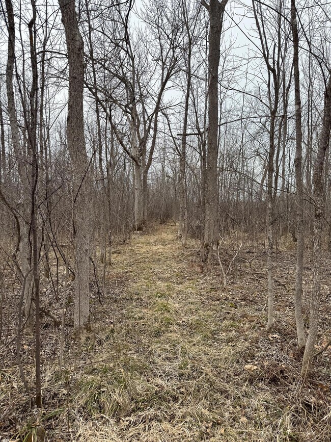 64535 Fleming Rd, Bruno, MN 55712 - photo 7