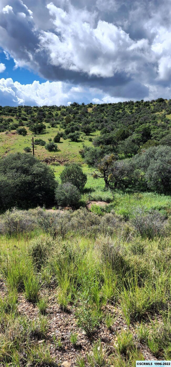 33xx Highway 90, Silver City, NM 88061 - photo 4