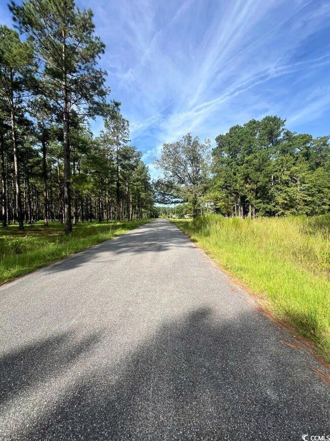 TBD Ashley Cir unit Lot 5, Conway, SC 29526 - photo 4