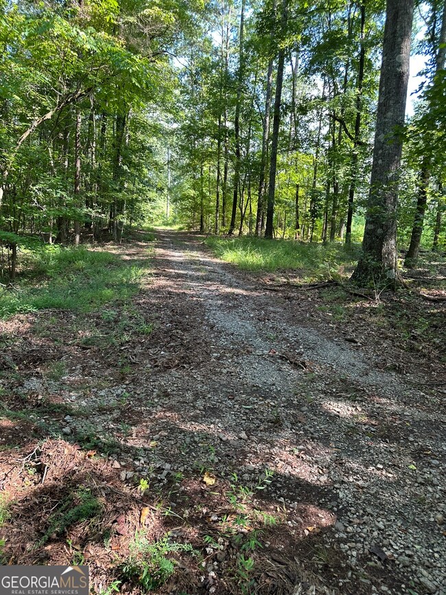 0 Fears Rd unit 10647993, Madison, GA 30650 - photo 5